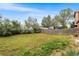 Large, green backyard features mature trees and a wooden fence for privacy at 5168 Goshawk St, Brighton, CO 80601