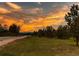 Scenic view of the surrounding landscape with a golden sunset illuminating the trees and sky at 10393 Deerfield Rd, Franktown, CO 80116