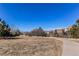 Scenic walking path alongside an open field with trees and houses at 3375 Starry Night Loop, Castle Rock, CO 80109