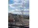 A tree-lined street with houses and mountains in the background during the day at 3375 Starry Night Loop, Castle Rock, CO 80109