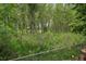 Secluded backyard with a chain-link fence and dense green vegetation offering privacy at 116 Monarch St, Louisville, CO 80027