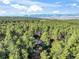High angle showcases mountain views with lush green forest around home at 18680 Arrowwood Dr, Monument, CO 80132