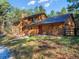 Charming exterior featuring wood siding, a vibrant red front door, and a lush green lawn, blending nature and home at 18680 Arrowwood Dr, Monument, CO 80132
