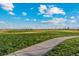 Lush green space with walking path, mature trees, and space for recreation at 48285 Shetland Dr, Bennett, CO 80102
