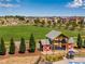 Open lawn and pavilion in a Gathering-friendly neighborhood at 17035 E 102Nd Pl, Commerce City, CO 80022