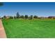 Expansive green space in a Gathering-friendly community with playground and walking path at 5705 N Genoa Way # 308, Aurora, CO 80019