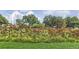 A scenic park with vibrant flowers and lush greenery against a backdrop of mature trees and blue skies at 579 S Sherman St, Denver, CO 80209