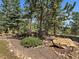 Secluded backyard setting with walking paths, mature trees, and natural rock outcroppings at 31518 Niakwa Rd, Evergreen, CO 80439