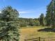 Expansive backyard featuring mature trees and lush greenery creating a private setting at 31518 Niakwa Rd, Evergreen, CO 80439