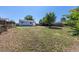 Expansive backyard showcasing a lush lawn and perimeter fence, perfect for relaxation and outdoor entertainment at 7111 Clermont St, Commerce City, CO 80022