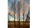 Scenic view of bare trees silhouetted against a colorful sky, highlighting the natural beauty of the surroundings at 8761 W Berry Ave # 202, Littleton, CO 80123