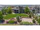 Backyard featuring a sport court, pool, lush lawn, and tiered landscaping at 10826 Evergold Way, Highlands Ranch, CO 80126