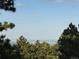 Breathtaking city views visible from the property, framed by lush trees and clear sky at 21859 Grandview Ave, Golden, CO 80401