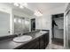 Bathroom with dual sinks, dark wood vanity, large mirror, and a walk-in closet and a shower at 20031 Elgin Dr, Denver, CO 80249