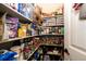 Organized walk-in pantry with an abundance of shelving and storage for food and household items at 2115 Holmby Ct, Castle Rock, CO 80104