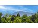 Picturesque view of the mountains behind a grouping of green trees at 7234 S Kendall Ct, Littleton, CO 80128