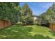 Large backyard with lush green grass, mature trees, and a wooden fence surround the perimeter at 16326 E Dorado Ave, Centennial, CO 80015