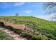 Backyard features a sloped hill, retaining wall, and lush green grass at 1629 S Deframe St # B8, Lakewood, CO 80228