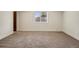 Bright bedroom with neutral carpet, white walls, and a window bringing in natural light at 6425 Tremolite Dr, Castle Rock, CO 80108