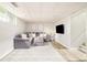 Cozy finished basement with gray sectional, plush rug, and mounted television at 5885 S Huron St, Littleton, CO 80120