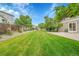 Well maintained backyard with a long rectangular lawn, patio, a fence and trees at 11091 Clayton St, Northglenn, CO 80233