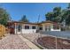 Backyard features a trampoline and rock landscaping at 233 Nome St, Aurora, CO 80010