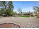 Spacious backyard featuring a mix of gravel and grassy areas, mature trees, and a fire pit area at 1185 Yank St, Golden, CO 80401