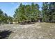 A house viewed through a patch of trees, surrounded by an expansive yard at 670 Independence Dr, Larkspur, CO 80118