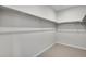 Walk-in closet with carpet and with white shelving at 6881 Oak Canyon Cir, Castle Pines, CO 80108