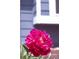 Up-close exterior image showcasing a vibrant pink flower with the home's facade as a backdrop at 8977 W Toller Ave, Littleton, CO 80128