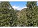 Scenic view of mountains from the property at 960 Aspen Pl, Evergreen, CO 80439