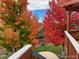 Scenic view of a backyard with vibrant fall foliage on mature trees at 21142 Hawthorne Ln, Parker, CO 80138