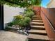 Stairs leading up to a serene backyard with garden, flowers, and a charming wooden gate at 21142 Hawthorne Ln, Parker, CO 80138