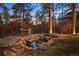 Backyard features a rock-lined pond with a seating area surrounded by lush landscaping at 646 Ruby Trust Dr, Castle Rock, CO 80108