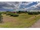 Expansive, grassy lot with lush trees, shrubs, and beautiful surrounding homes under a cloudy sky at 2941 Castle Butte Drive Dr, Castle Rock, CO 80109