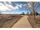 Paved walking path with scenic views at 911 Snowberry St, Longmont, CO 80503