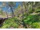 Serene backyard with stone steps leading to a cozy seating area surrounded by lush greenery and mature trees at 41 Silver Spruce, Boulder, CO 80302