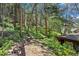 Lush backyard featuring a cozy seating area, mature trees, and natural landscaping at 41 Silver Spruce, Boulder, CO 80302