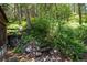 Tranquil backyard with wooded steps leading to a rock lined area, featuring lush greenery and natural landscape at 41 Silver Spruce, Boulder, CO 80302