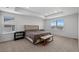 Spacious main bedroom with a tray ceiling, carpeted floors, and plenty of natural light at 1172 Elbridge Cir, Elizabeth, CO 80107