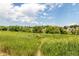 Scenic shot of lush green space with tall grasses and mature trees under a blue sky at 902 S Yukon St, Lakewood, CO 80226