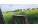Beautiful land with green grass and weeds with trees and houses in the background at 902 S Yukon St, Lakewood, CO 80226
