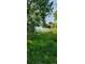 Lush green space leading to a serene water view, showcasing the community's natural beauty at 902 S Yukon St, Lakewood, CO 80226