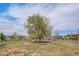 Park-like common area with mature trees at 11962 W Long Cir # 103, Littleton, CO 80127