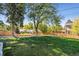 Expansive backyard featuring mature trees, healthy lawn, and privacy fence at 8242 E Briarwood Pl, Centennial, CO 80112