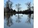 Beautiful view of a calm pond with silhouetted trees and birds resting on rocks, reflecting in the water at 3930 S Pinehurst Cir, Denver, CO 80235