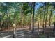View of the serene, tree-covered property featuring a metal gate and lush wooded acreage at 10381 Hondah Dr, Littleton, CO 80127