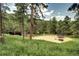 Spacious outdoor play area with a trampoline, swing set, and lush greenery, perfect for recreation and entertainment at 10381 Hondah Dr, Littleton, CO 80127