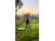 A majestic elk stands in a grassy yard at dusk, near a tree swing for Gathering fun at 10381 Hondah Dr, Littleton, CO 80127