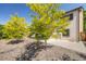 A backyard with a covered patio and views of lush, green trees at 3870 S Ouray Way, Aurora, CO 80013